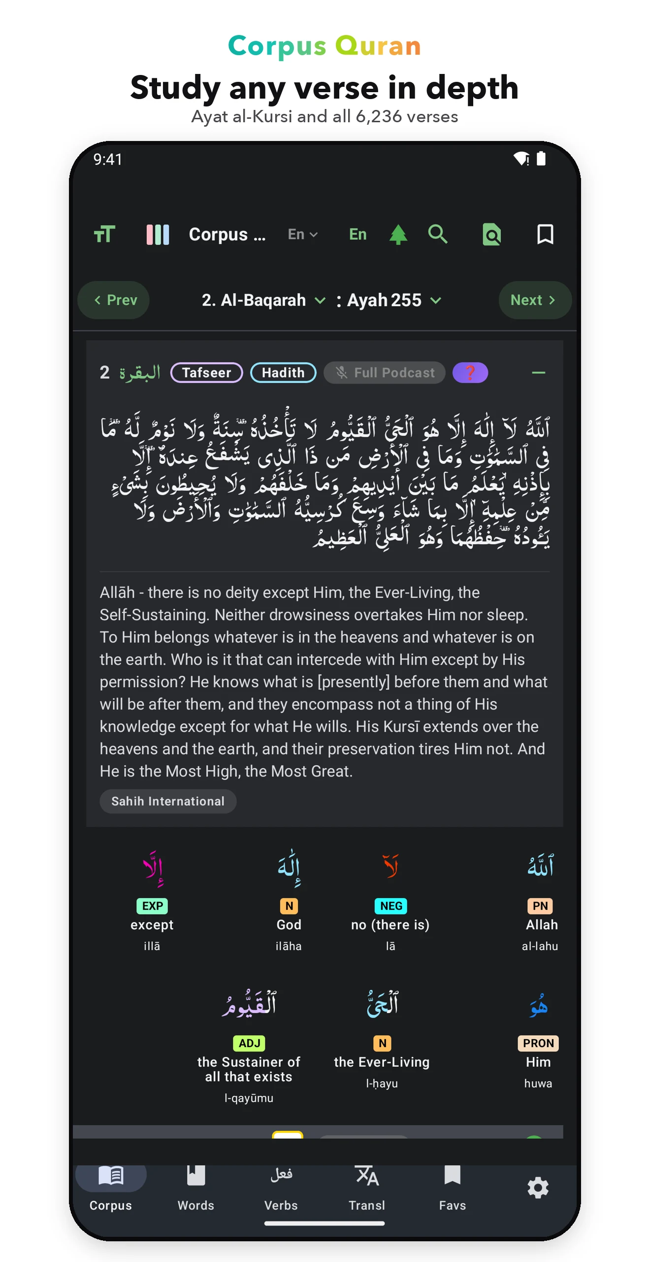Corpus Quran screenshot